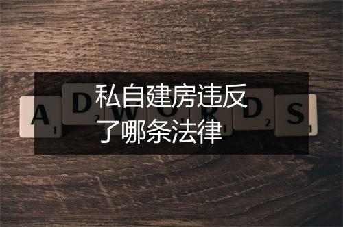 私自建房违反了哪条法律