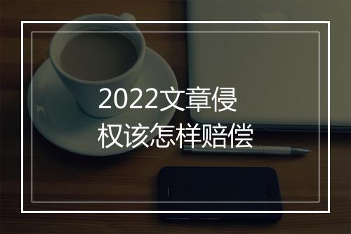 2022文章侵权该怎样赔偿