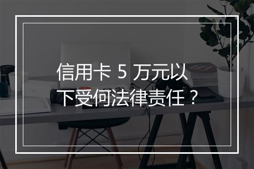 信用卡 5 万元以下受何法律责任？