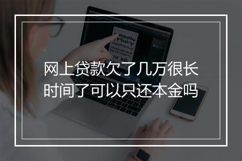 网上贷款欠了几万很长时间了可以只还本金吗