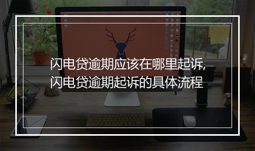 闪电贷逾期应该在哪里起诉,闪电贷逾期起诉的具体流程