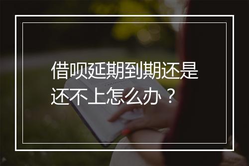 借呗延期到期还是还不上怎么办？