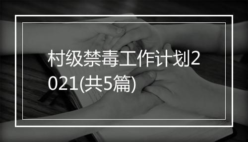 村级禁毒工作计划2021(共5篇)