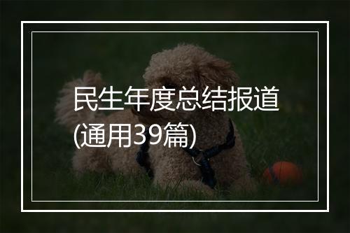 民生年度总结报道(通用39篇)