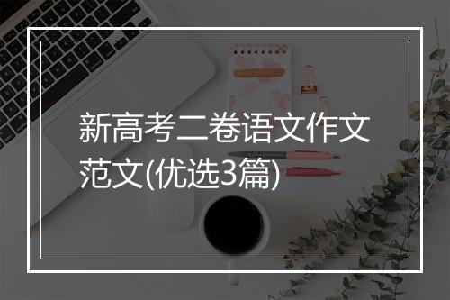 新高考二卷语文作文范文(优选3篇)