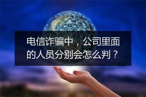 电信诈骗中，公司里面的人员分别会怎么判？
