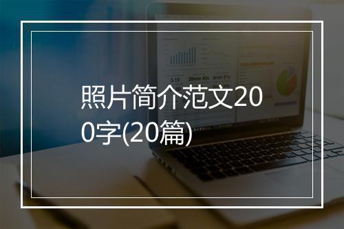 照片简介范文200字(20篇)