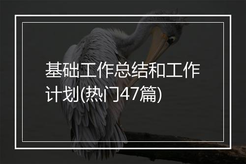 基础工作总结和工作计划(热门47篇)