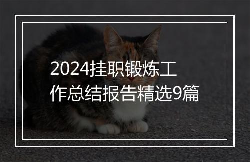 2024挂职锻炼工作总结报告精选9篇
