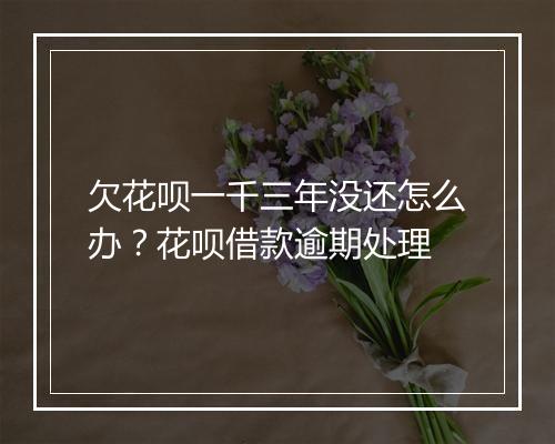 欠花呗一千三年没还怎么办？花呗借款逾期处理