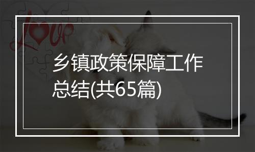 乡镇政策保障工作总结(共65篇)