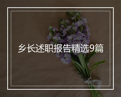乡长述职报告精选9篇