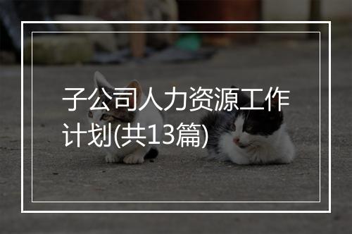 子公司人力资源工作计划(共13篇)