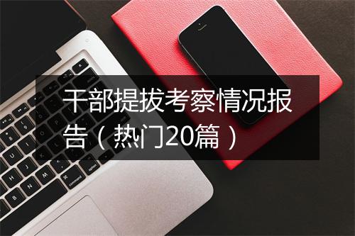 干部提拔考察情况报告（热门20篇）