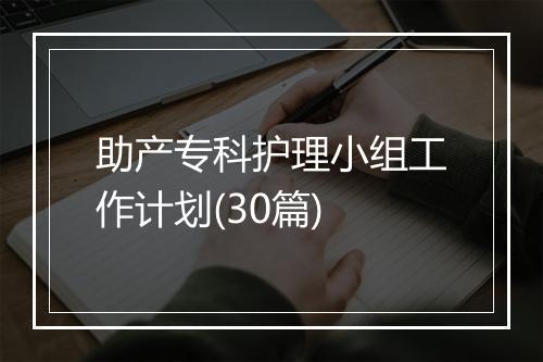 助产专科护理小组工作计划(30篇)