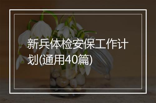 新兵体检安保工作计划(通用40篇)