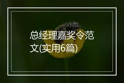 总经理嘉奖令范文(实用6篇)