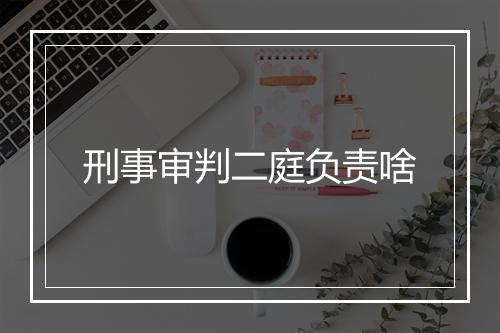 刑事审判二庭负责啥