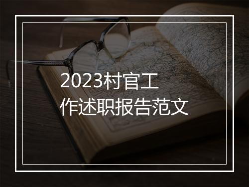 2023村官工作述职报告范文