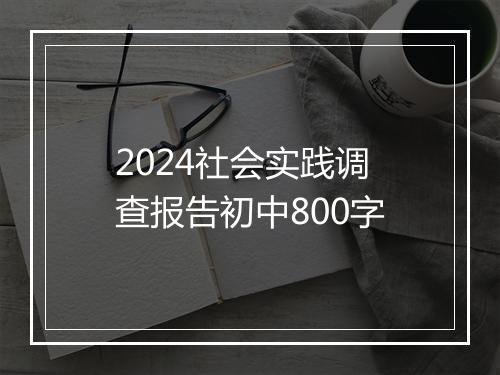 2024社会实践调查报告初中800字