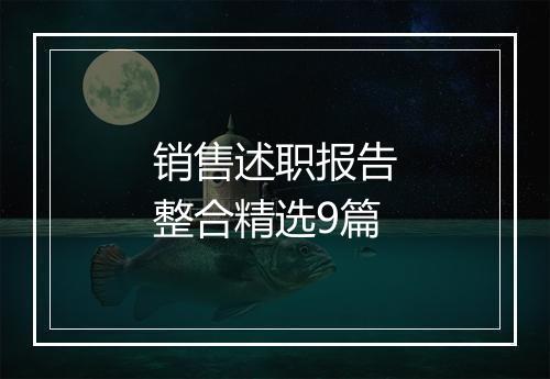 销售述职报告整合精选9篇