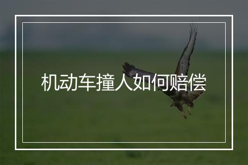 机动车撞人如何赔偿