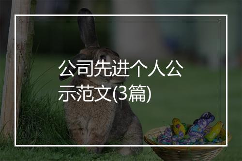 公司先进个人公示范文(3篇)
