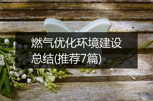 燃气优化环境建设总结(推荐7篇)