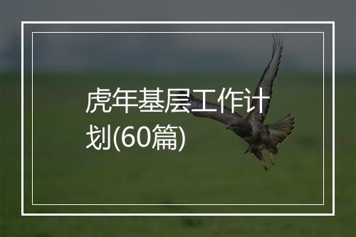 虎年基层工作计划(60篇)