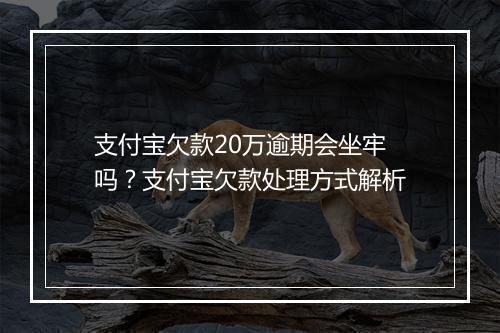 支付宝欠款20万逾期会坐牢吗？支付宝欠款处理方式解析