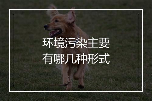 环境污染主要有哪几种形式
