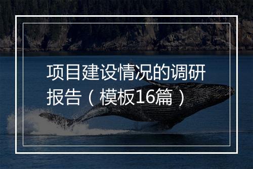 项目建设情况的调研报告（模板16篇）