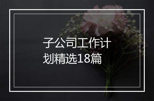 子公司工作计划精选18篇
