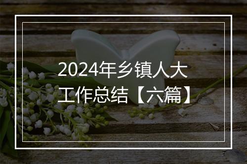 2024年乡镇人大工作总结【六篇】