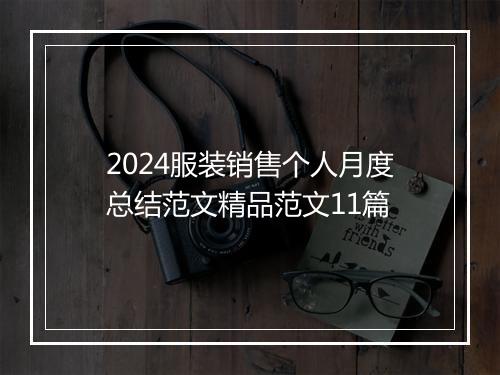 2024服装销售个人月度总结范文精品范文11篇