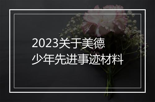 2023关于美德少年先进事迹材料