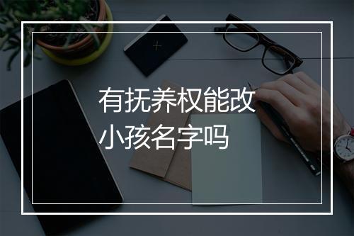 有抚养权能改小孩名字吗