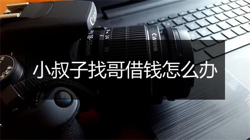 小叔子找哥借钱怎么办
