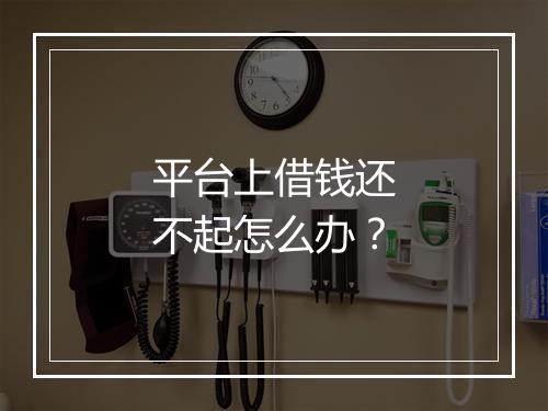 平台上借钱还不起怎么办？