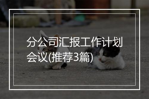 分公司汇报工作计划会议(推荐3篇)