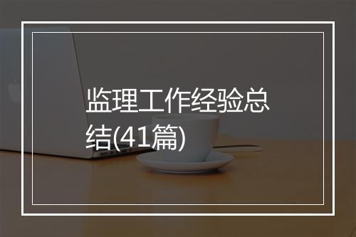 监理工作经验总结(41篇)