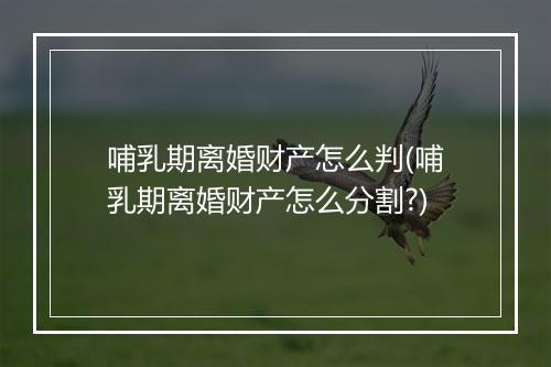 哺乳期离婚财产怎么判(哺乳期离婚财产怎么分割?)