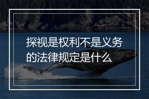 探视是权利不是义务的法律规定是什么