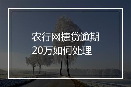 农行网捷贷逾期20万如何处理