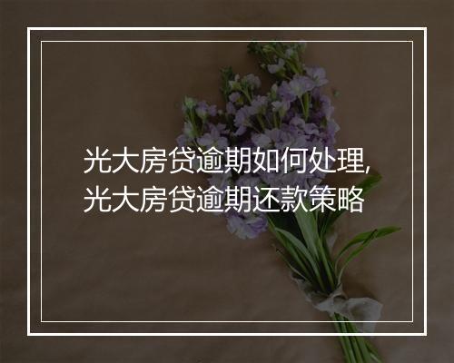 光大房贷逾期如何处理,光大房贷逾期还款策略