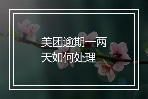 美团逾期一两天如何处理
