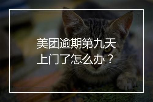 美团逾期第九天上门了怎么办？