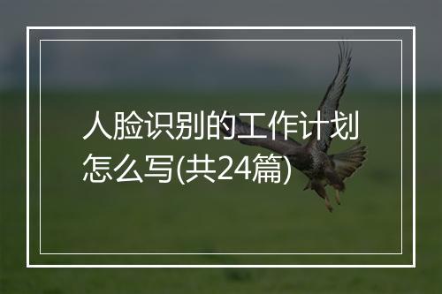 人脸识别的工作计划怎么写(共24篇)