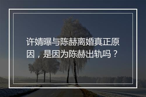 许婧曝与陈赫离婚真正原因，是因为陈赫出轨吗？