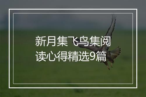 新月集飞鸟集阅读心得精选9篇